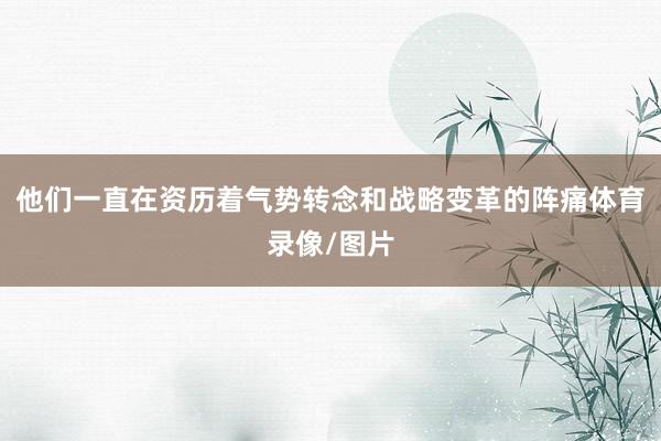 他们一直在资历着气势转念和战略变革的阵痛体育录像/图片