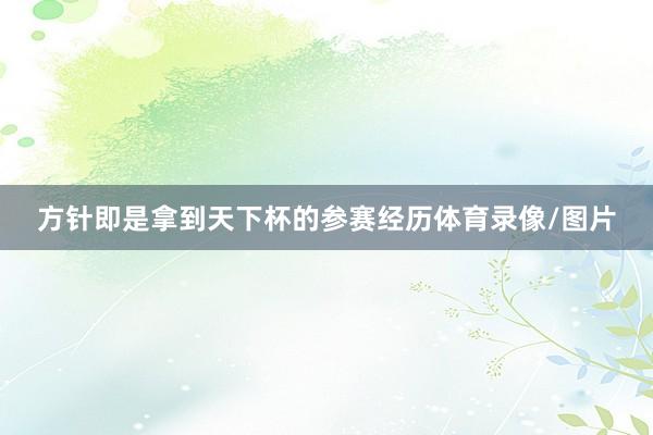 方针即是拿到天下杯的参赛经历体育录像/图片