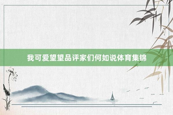 我可爱望望品评家们何如说体育集锦