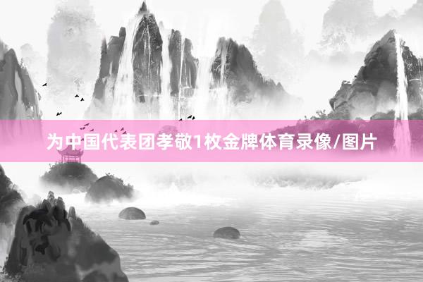 为中国代表团孝敬1枚金牌体育录像/图片