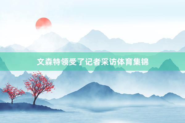 文森特领受了记者采访体育集锦