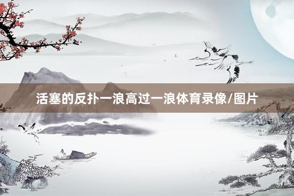 活塞的反扑一浪高过一浪体育录像/图片