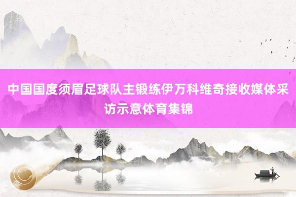 中国国度须眉足球队主锻练伊万科维奇接收媒体采访示意体育集锦