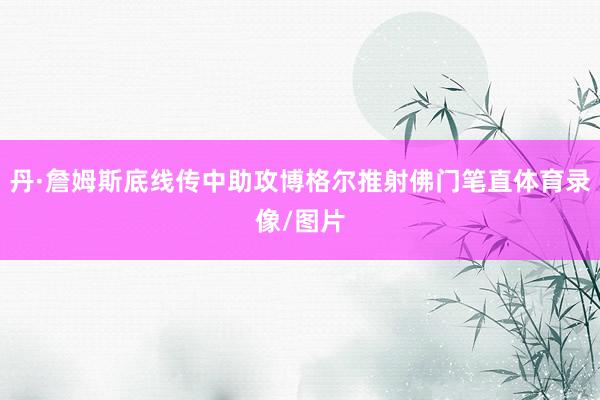 丹·詹姆斯底线传中助攻博格尔推射佛门笔直体育录像/图片