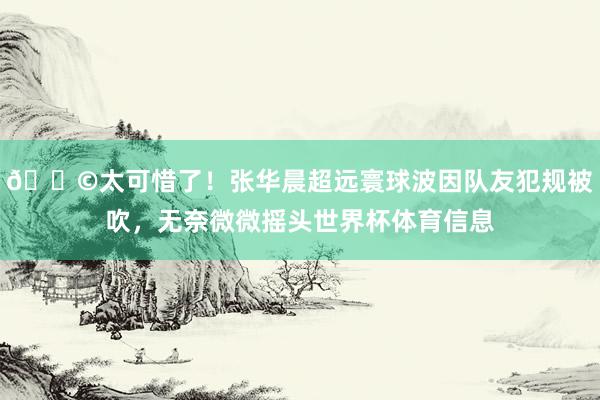 😩太可惜了！张华晨超远寰球波因队友犯规被吹，无奈微微摇头世界杯体育信息