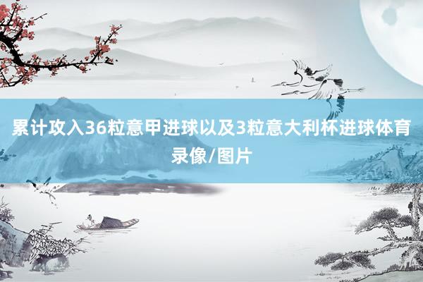累计攻入36粒意甲进球以及3粒意大利杯进球体育录像/图片