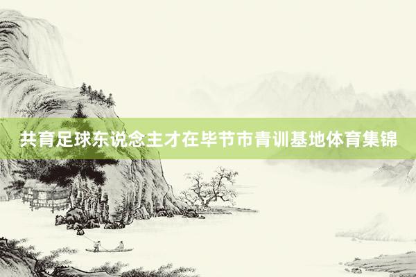 共育足球东说念主才在毕节市青训基地体育集锦