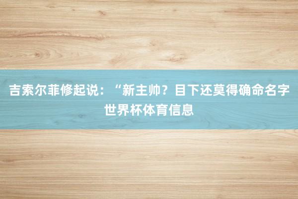 吉索尔菲修起说：“新主帅？目下还莫得确命名字世界杯体育信息