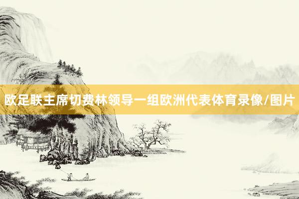 欧足联主席切费林领导一组欧洲代表体育录像/图片
