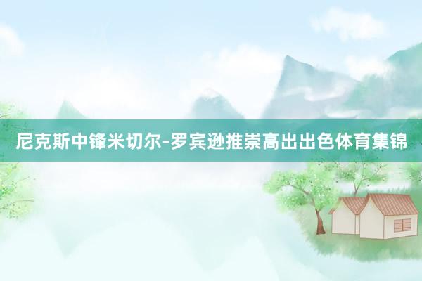 尼克斯中锋米切尔-罗宾逊推崇高出出色体育集锦
