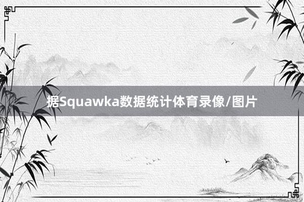据Squawka数据统计体育录像/图片