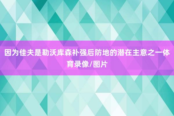 因为佳夫是勒沃库森补强后防地的潜在主意之一体育录像/图片