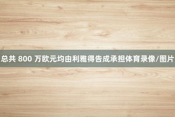 总共 800 万欧元均由利雅得告成承担体育录像/图片