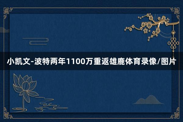 小凯文-波特两年1100万重返雄鹿体育录像/图片