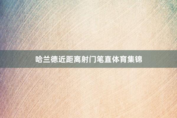 哈兰德近距离射门笔直体育集锦