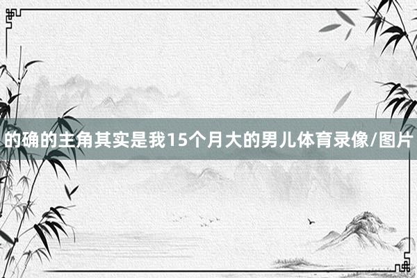 的确的主角其实是我15个月大的男儿体育录像/图片