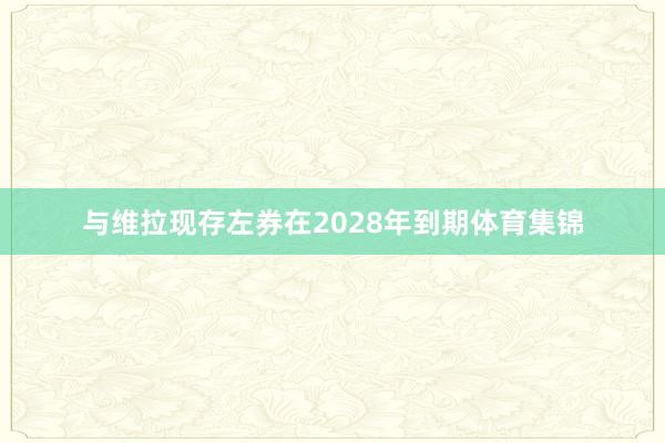 与维拉现存左券在2028年到期体育集锦