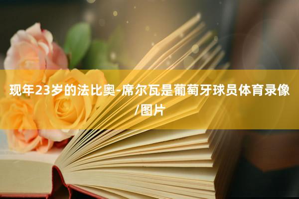 现年23岁的法比奥-席尔瓦是葡萄牙球员体育录像/图片