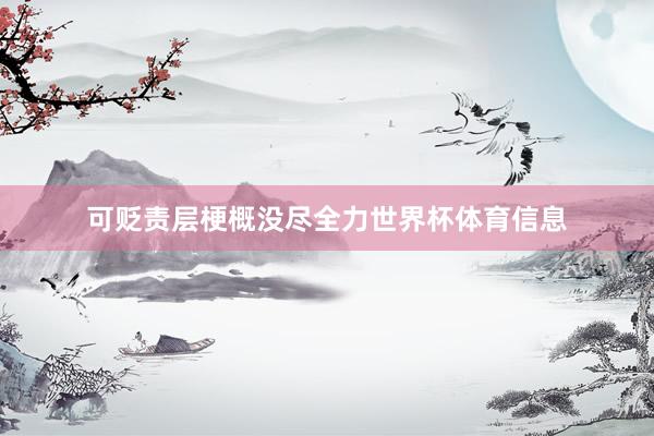 可贬责层梗概没尽全力世界杯体育信息