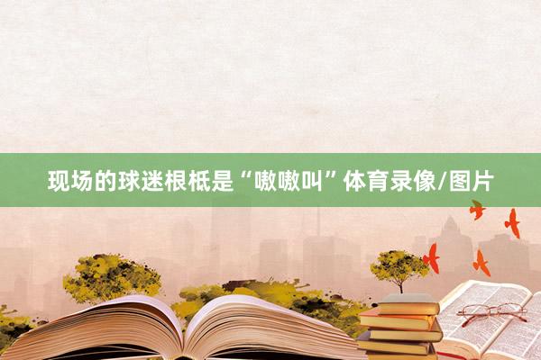 现场的球迷根柢是“嗷嗷叫”体育录像/图片