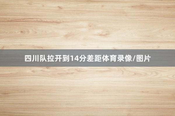 四川队拉开到14分差距体育录像/图片