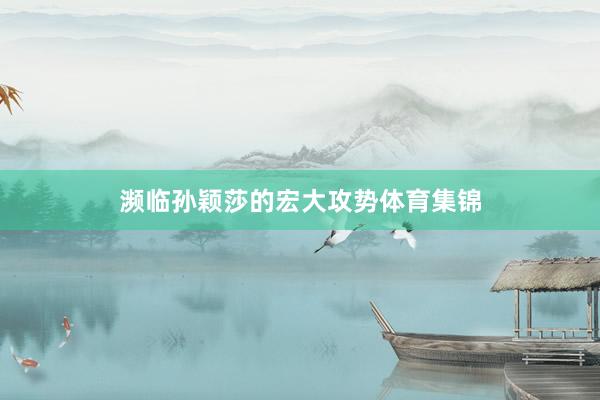 濒临孙颖莎的宏大攻势体育集锦
