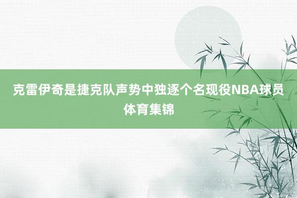 克雷伊奇是捷克队声势中独逐个名现役NBA球员体育集锦