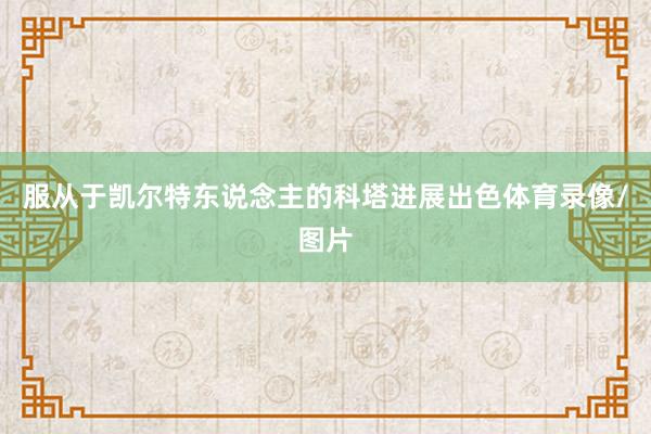 服从于凯尔特东说念主的科塔进展出色体育录像/图片