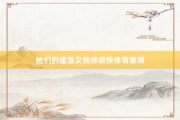 她们的遑急又快球很快体育集锦