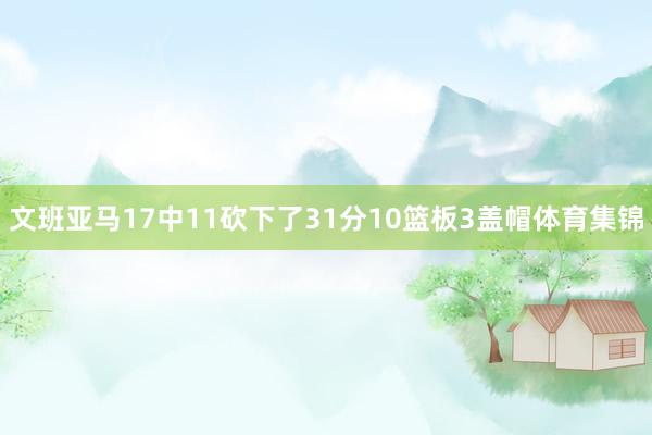 文班亚马17中11砍下了31分10篮板3盖帽体育集锦