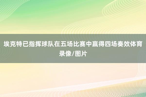 埃克特已指挥球队在五场比赛中赢得四场奏效体育录像/图片