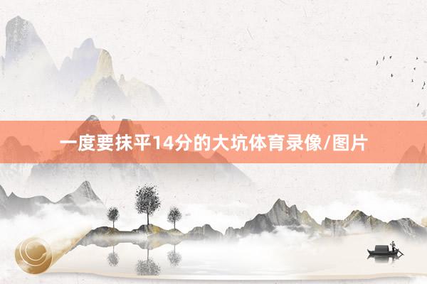 一度要抹平14分的大坑体育录像/图片