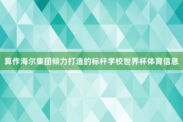 算作海尔集团倾力打造的标杆学校世界杯体育信息