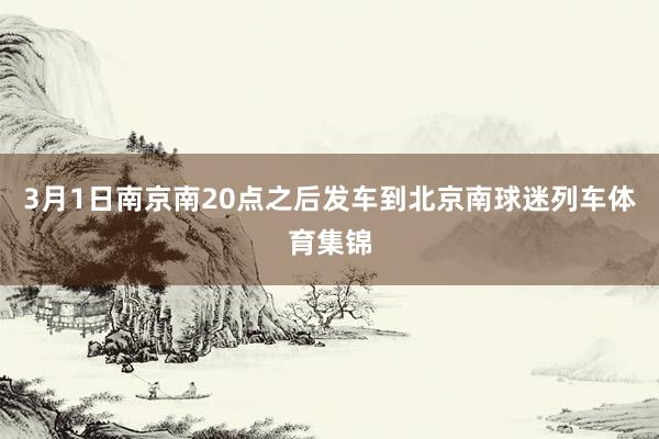 3月1日南京南20点之后发车到北京南球迷列车体育集锦
