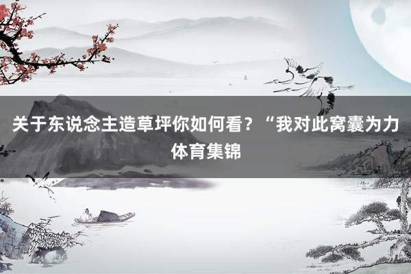 关于东说念主造草坪你如何看？“我对此窝囊为力体育集锦