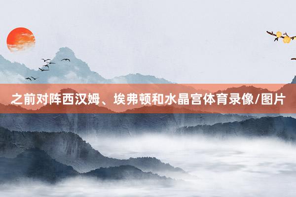 之前对阵西汉姆、埃弗顿和水晶宫体育录像/图片