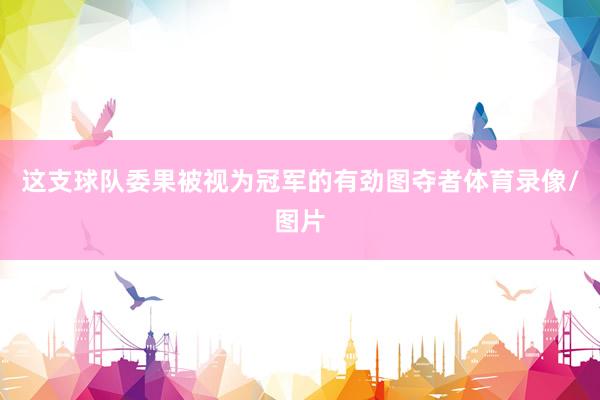 这支球队委果被视为冠军的有劲图夺者体育录像/图片