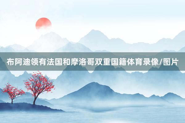 布阿迪领有法国和摩洛哥双重国籍体育录像/图片