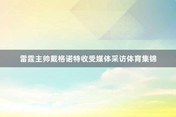 雷霆主帅戴格诺特收受媒体采访体育集锦