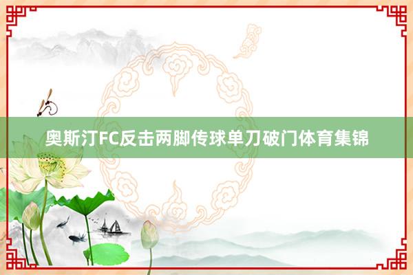 奥斯汀FC反击两脚传球单刀破门体育集锦
