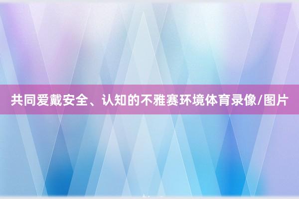 共同爱戴安全、认知的不雅赛环境体育录像/图片