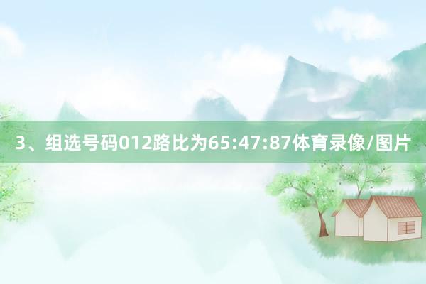 3、组选号码012路比为65:47:87体育录像/图片