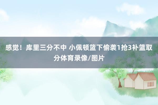 感觉！库里三分不中 小佩顿篮下偷袭1抢3补篮取分体育录像/图片