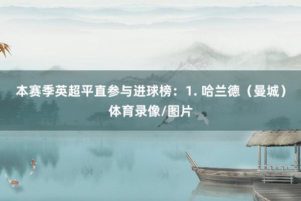 本赛季英超平直参与进球榜：1. 哈兰德（曼城）体育录像/图片