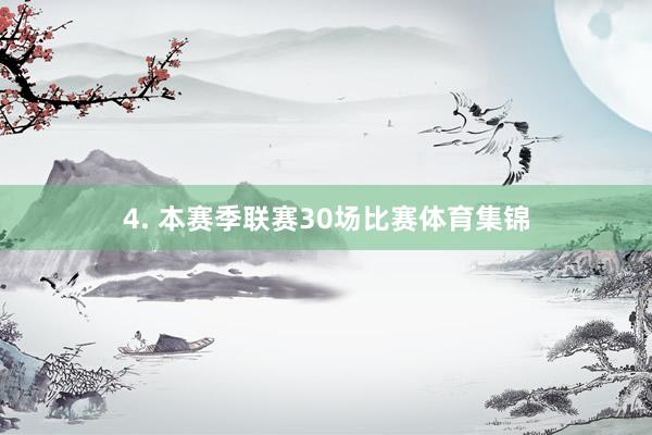 4. 本赛季联赛30场比赛体育集锦