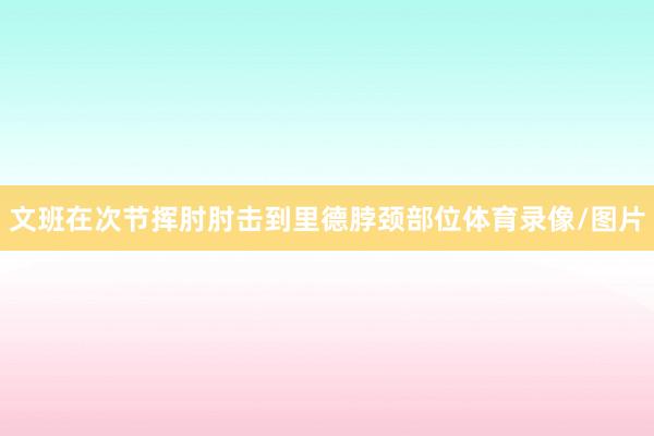 文班在次节挥肘肘击到里德脖颈部位体育录像/图片