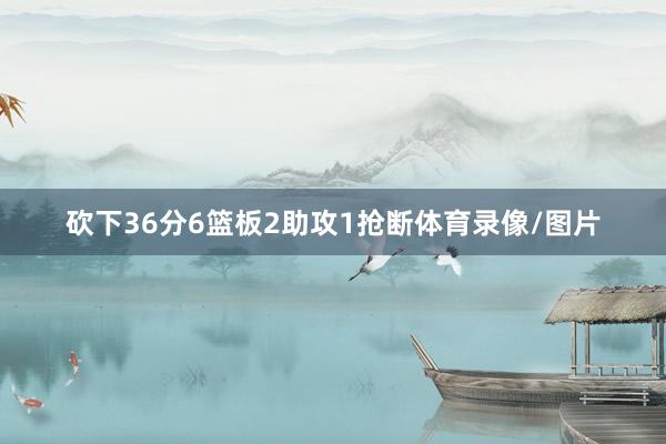 砍下36分6篮板2助攻1抢断体育录像/图片