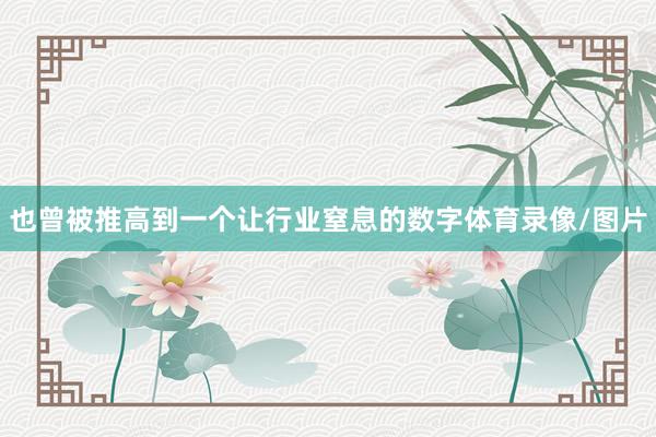也曾被推高到一个让行业窒息的数字体育录像/图片