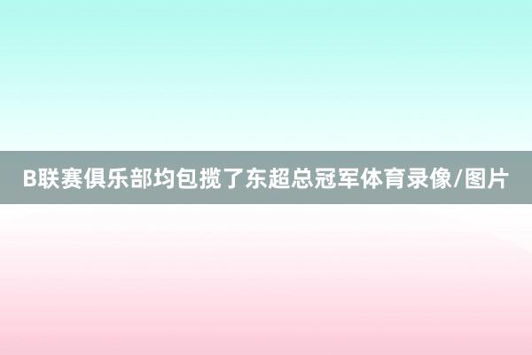 B联赛俱乐部均包揽了东超总冠军体育录像/图片