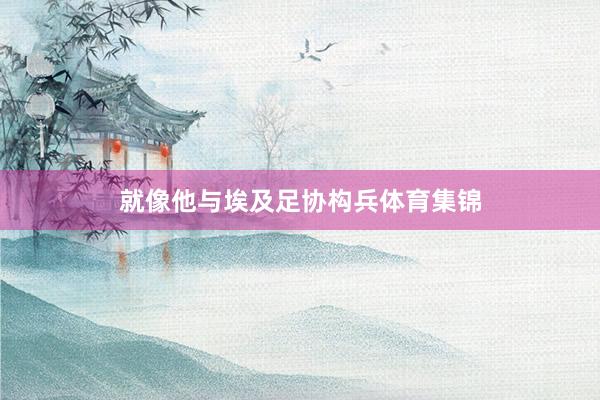 就像他与埃及足协构兵体育集锦